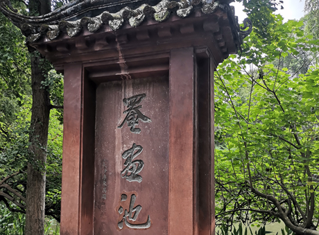 Experiencing Gardening Art and Peotry in Chengdu– A study trip starting from Yanhuaci Park in Chongzhou 